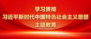 暴操白丝小BB学习贯彻习近平新时代中国特色社会主义思想主题教育_fororder_ad-371X160(2)